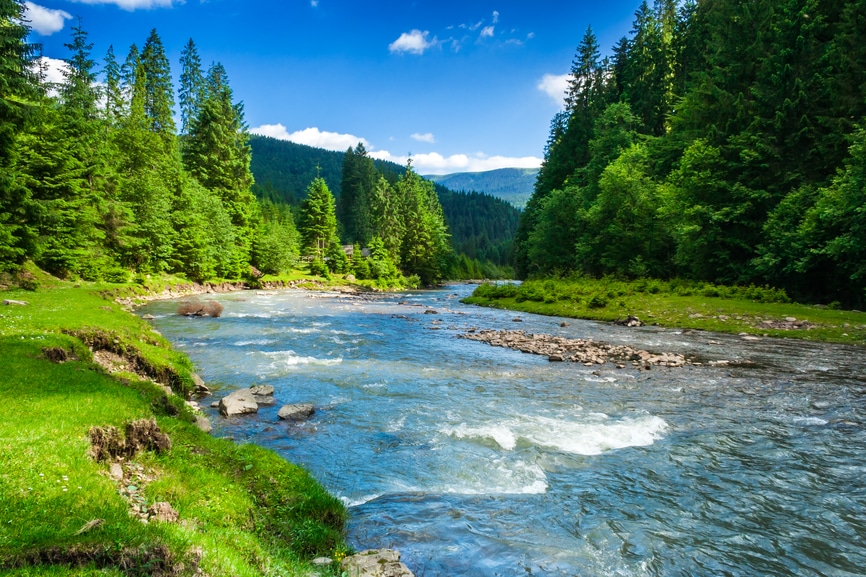Fluss in den Bergen inmitten einer Baumlandschaft