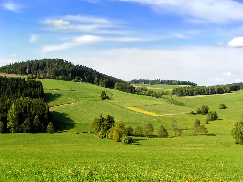 Hügellandschaft mit Wäldern und grünen Wiesen